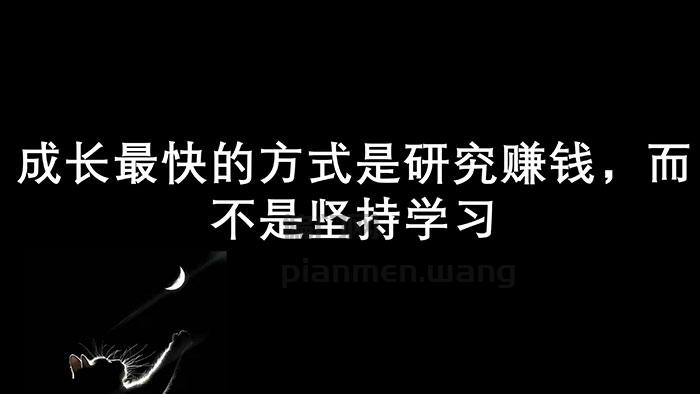 成长最快的方式是研究赚钱，而不是学习